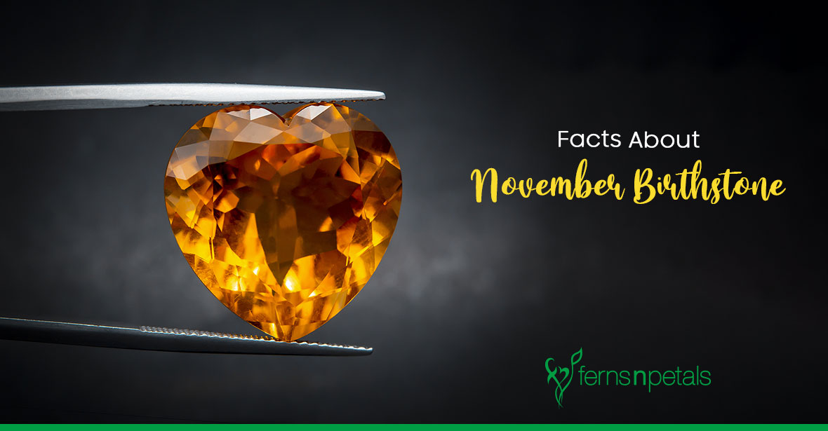 Everything you Need to Know About November Birthstone